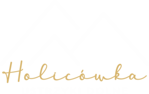 Holicówka - domki Ustrzyki Dolne